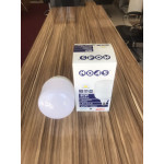 30WATT LED AMPÜL